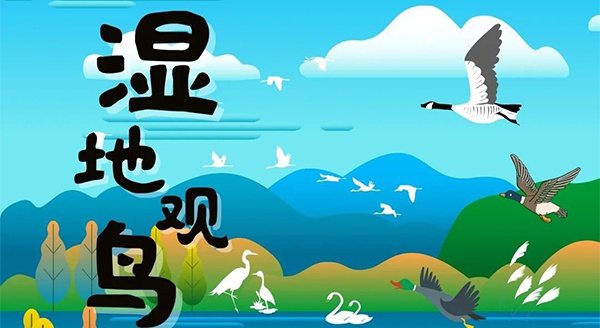 【獨(dú)立觀鳥一日營(yíng)】走進(jìn)白馬湖濕地，一起來探尋鳥兒的秘密